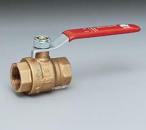 Watts Regulator 2WBVT