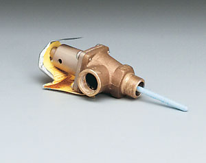 Watts Regulator 40L3