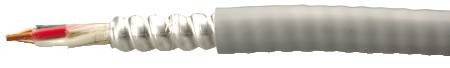 Coleman Cable 924843009